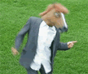 Dancinghorse1.gif