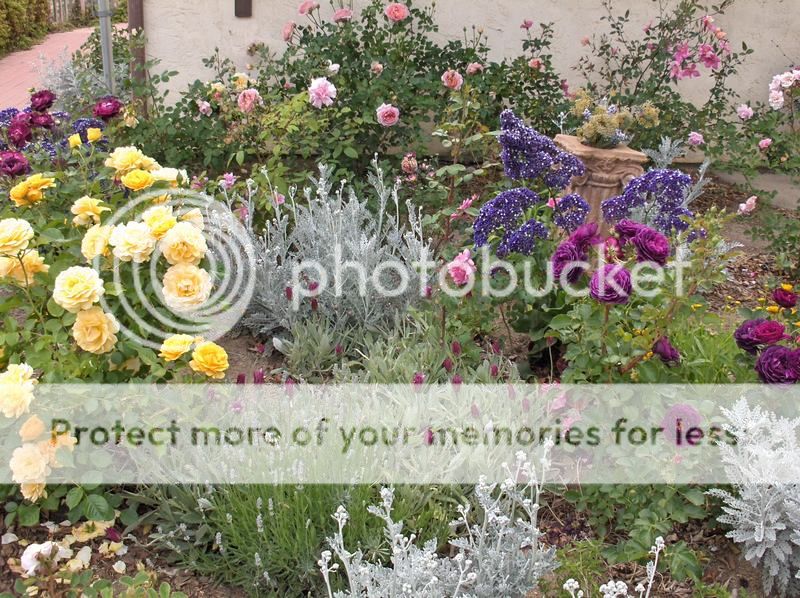  photo 2008_zpsd7fb886b.jpg