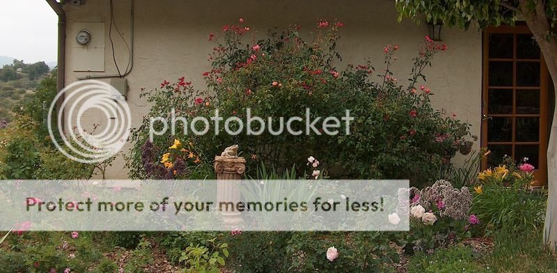  photo HPIM2434_zpsb441f353.jpg