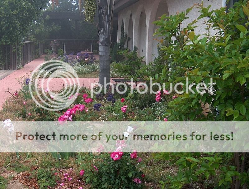  photo HPIM8412_zpsd89cdd6d.jpg