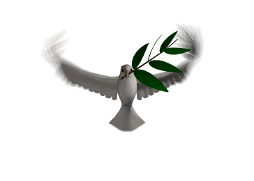 animated dove photo: dove dove.gif