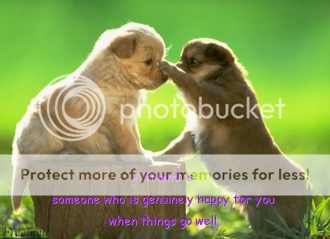 a friend Pictures, Images and Photos