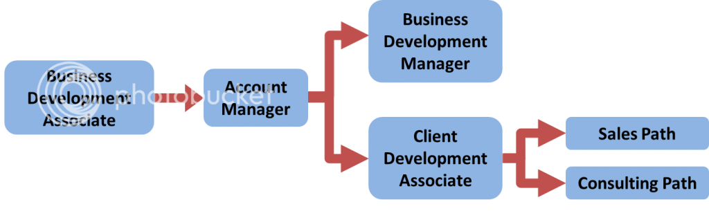 sales career path