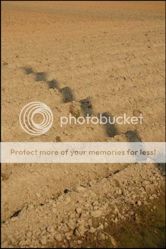 Fotografie