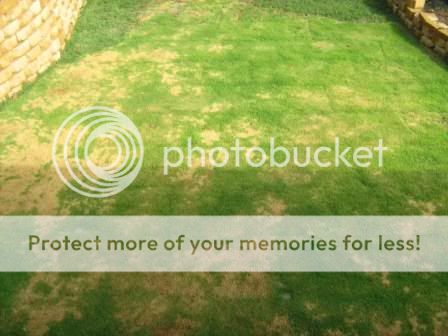[Linked Image from i576.photobucket.com]